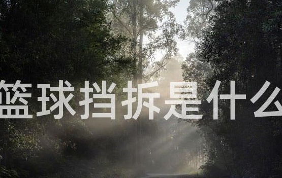 什么是挡拆？